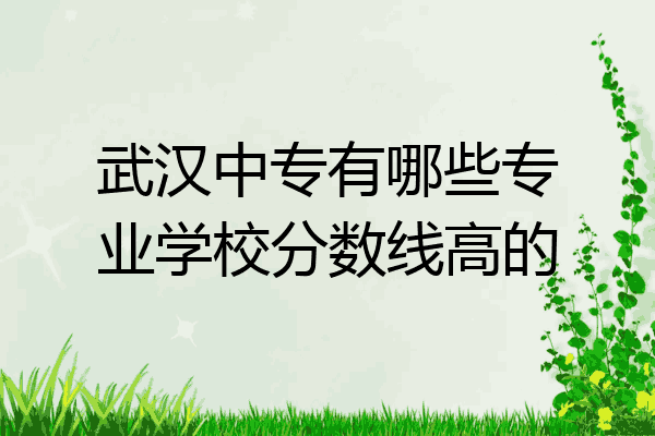 武汉中专有哪些专业学校分数线高的