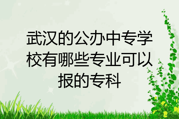 武汉的公办中专学校有哪些专业可以报的专科