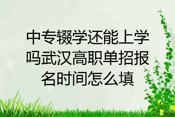 中专辍学还能上学吗武汉高职单招报名时间怎么填