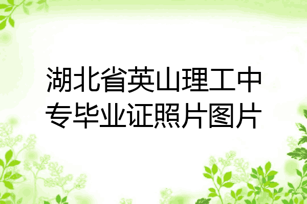 湖北省英山理工中专毕业证照片图片