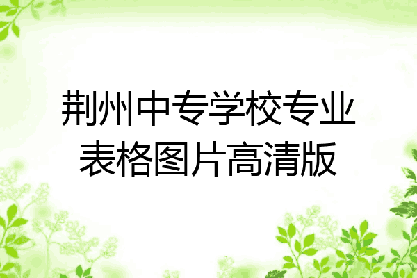 荆州中专学校专业表格图片高清版