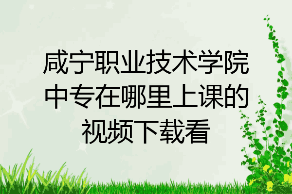 咸宁职业技术学院中专在哪里上课的视频下载看