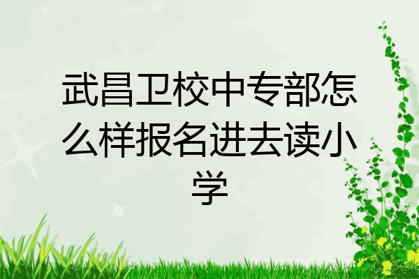 武昌卫校中专部怎么样报名进去读小学