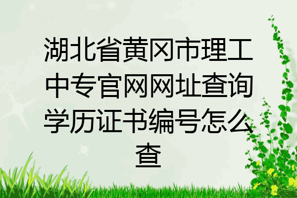 湖北省黄冈市理工中专官网网址查询学历证书编号怎么查