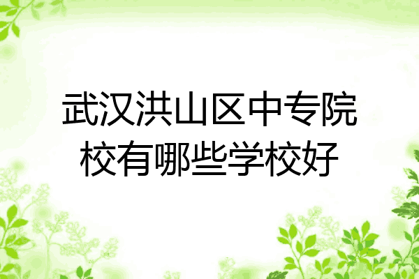 武汉洪山区中专院校有哪些学校好