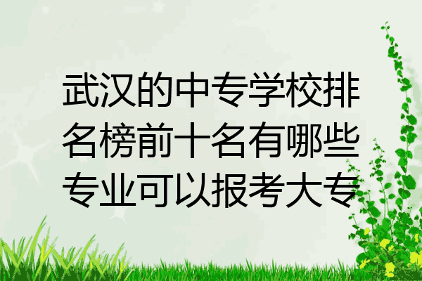 武汉的中专学校排名榜前十名有哪些专业可以报考大专
