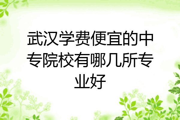 武汉学费便宜的中专院校有哪几所专业好