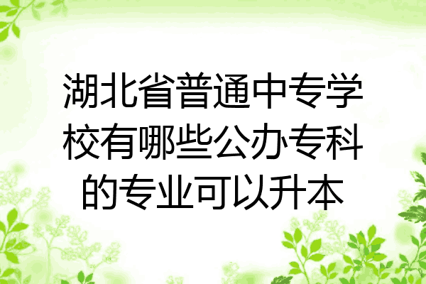 湖北省普通中专学校有哪些公办专科的专业可以升本
