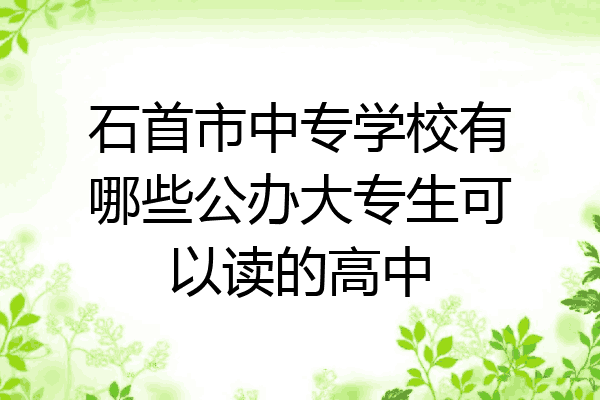 石首市中专学校有哪些公办大专生可以读的高中