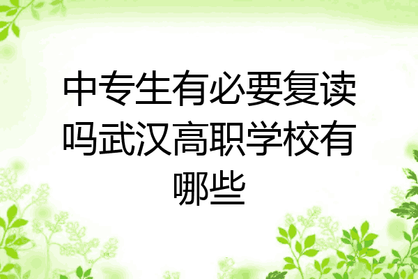 中专生有必要复读吗武汉高职学校有哪些