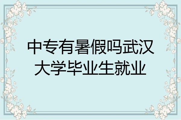 中专有暑假吗武汉大学毕业生就业