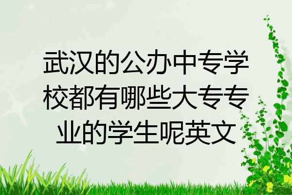 武汉的公办中专学校都有哪些大专专业的学生呢英文