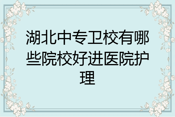 湖北中专卫校有哪些院校好进医院护理