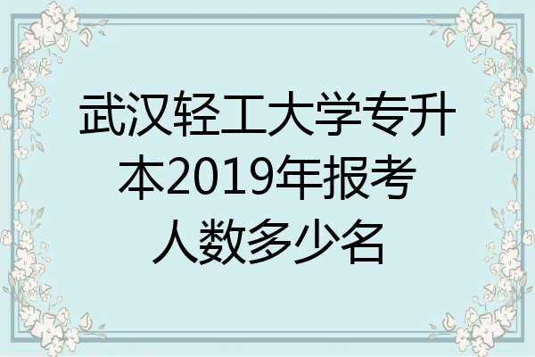 武汉轻工大学专升本2019年报考人数多少名