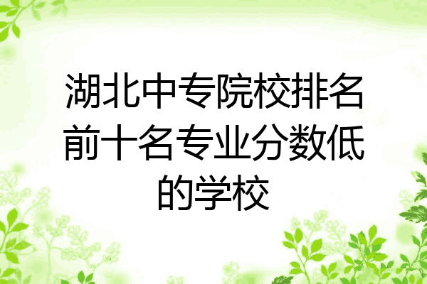 湖北中专院校排名前十名专业分数低的学校