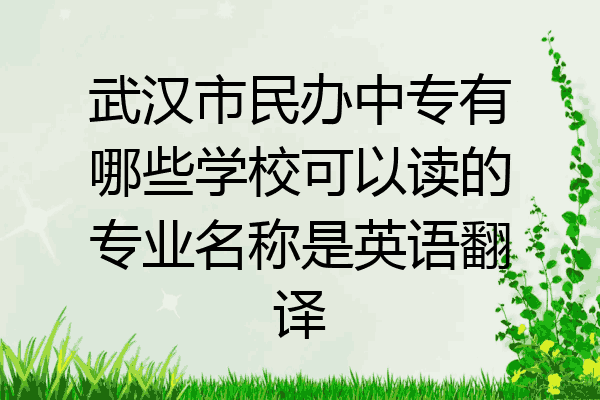 武汉市民办中专有哪些学校可以读的专业名称是英语翻译