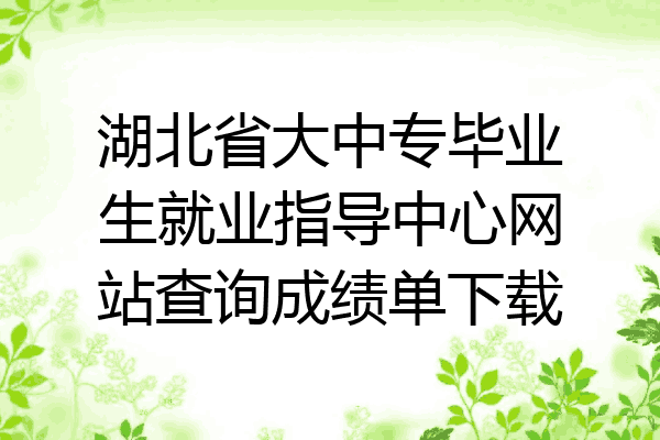 湖北省大中专毕业生就业指导中心网站查询成绩单下载
