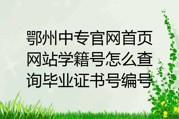 鄂州中专官网首页网站学籍号怎么查询毕业证书号编号
