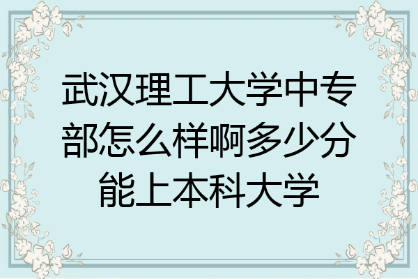 武汉理工大学中专部怎么样啊多少分能上本科大学