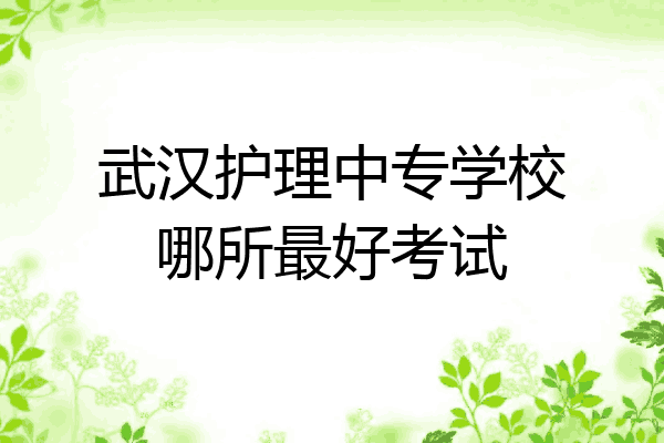 武汉护理中专学校哪所最好考试