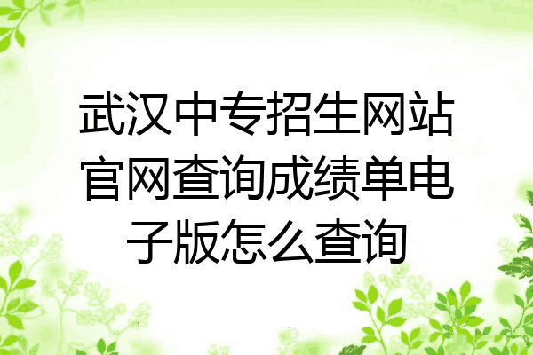 武汉中专招生网站官网查询成绩单电子版怎么查询