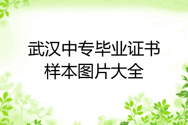 武汉中专毕业证书样本图片大全