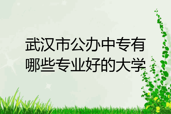武汉市公办中专有哪些专业好的大学