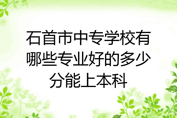 石首市中专学校有哪些专业好的多少分能上本科