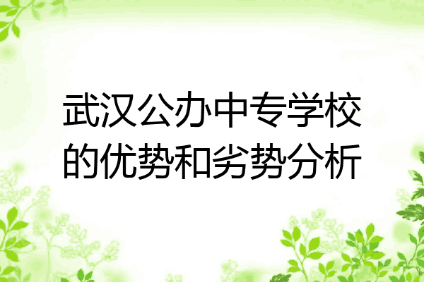 武汉公办中专学校的优势和劣势分析