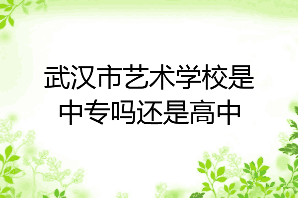 武汉市艺术学校是中专吗还是高中