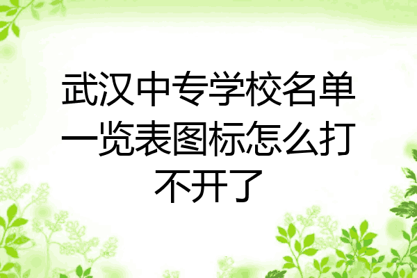 武汉中专学校名单一览表图标怎么打不开了