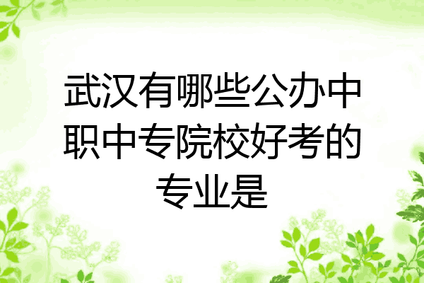 武汉有哪些公办中职中专院校好考的专业是
