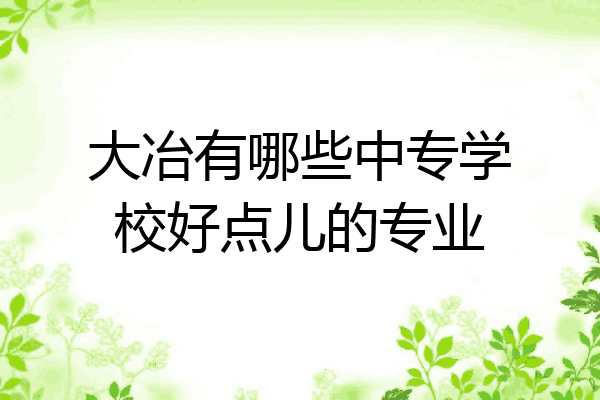 大冶有哪些中专学校好点儿的专业