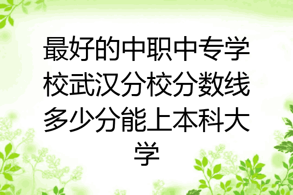 最好的中职中专学校武汉分校分数线多少分能上本科大学