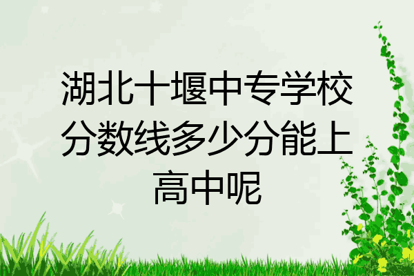 湖北十堰中专学校分数线多少分能上高中呢