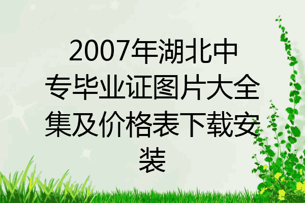 2007年湖北中专毕业证图片大全集及价格表下载安装