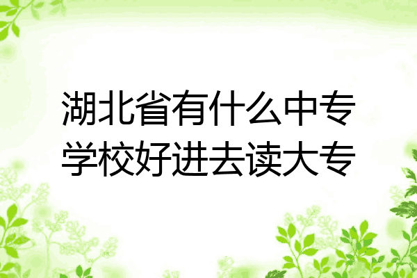 湖北省有什么中专学校好进去读大专