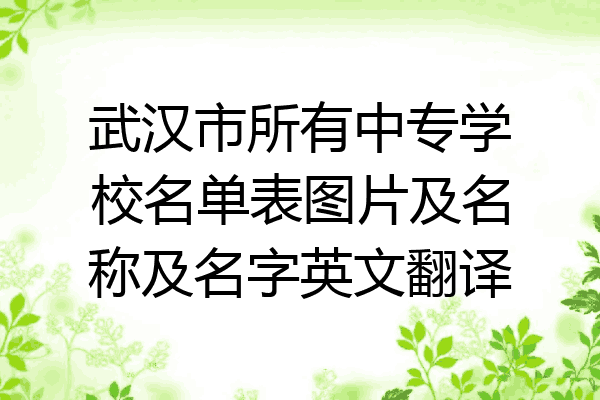 武汉市所有中专学校名单表图片及名称及名字英文翻译