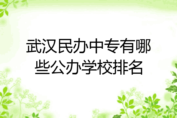 武汉民办中专有哪些公办学校排名