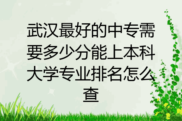 武汉最好的中专需要多少分能上本科大学专业排名怎么查
