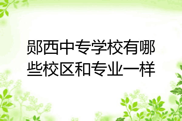 郧西中专学校有哪些校区和专业一样