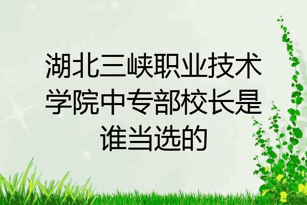 湖北三峡职业技术学院中专部校长是谁当选的