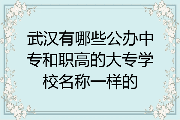 武汉有哪些公办中专和职高的大专学校名称一样的