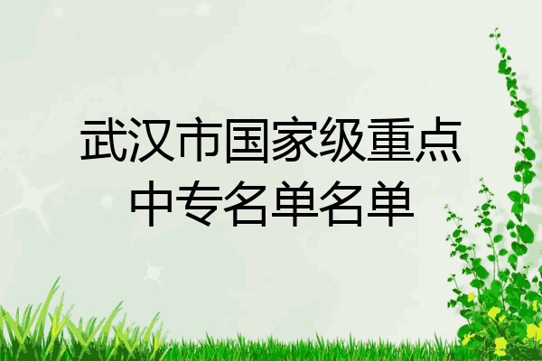 武汉市国家级重点中专名单名单