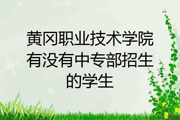 黄冈职业技术学院有没有中专部招生的学生