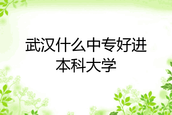 武汉什么中专好进本科大学
