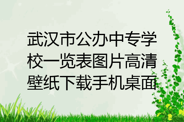 武汉市公办中专学校一览表图片高清壁纸下载手机桌面