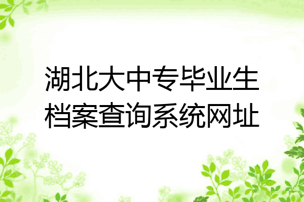 湖北大中专毕业生档案查询系统网址