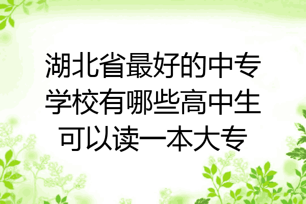 湖北省最好的中专学校有哪些高中生可以读一本大专