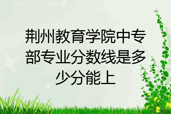 荆州教育学院中专部专业分数线是多少分能上
